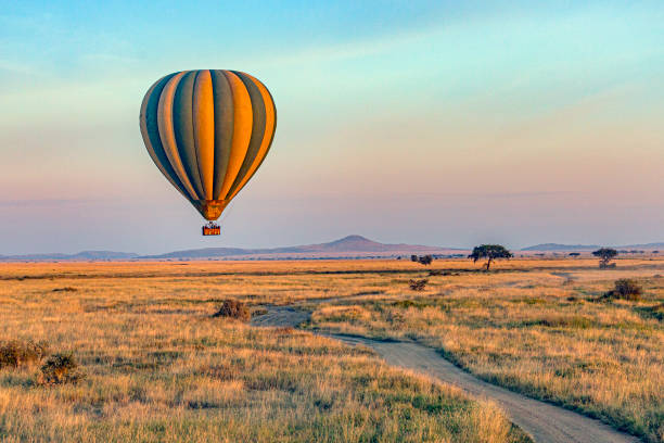 Les meilleurs survols touristiques des sites emblématiques à vivre absolument